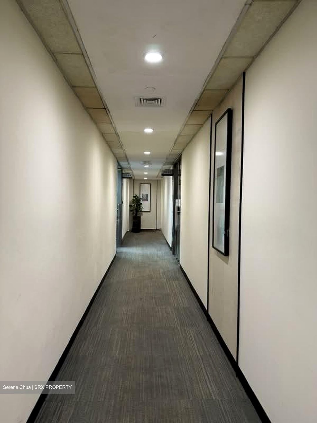 Lucky Plaza (D9), Retail #538526181